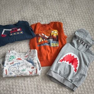 Kids Sweatshirts Bundle
